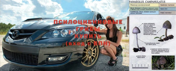 спиды Абдулино